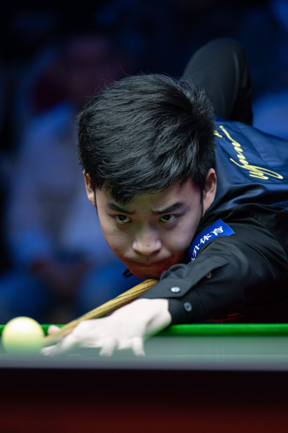 政府宣誓表 政府宣誓表